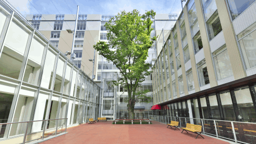 フリーダムオンライン 広尾学園